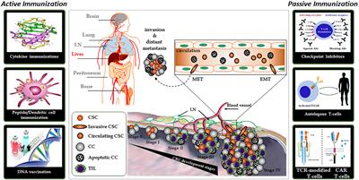 Frontiers | Molecular Immunotherapy: Promising Approach To Treat ...